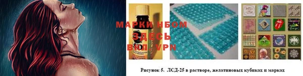 тгк Зеленокумск